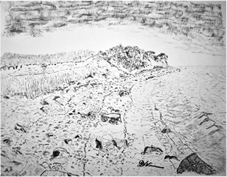 Dirk Nienemann, Künstler Holzkohlezeichnungen, Lehrte Hannover, Drucke Holzkohlezeichnungen,Abstrakte, Landschaft, Stillleben