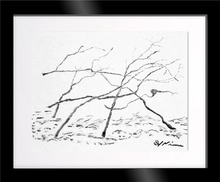 Dirk Nienemann, Künstler Holzkohlezeichnungen, Lehrte Hannover, Drucke Holzkohlezeichnungen,Abstrakte, Landschaft, Stillleben